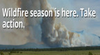 Arizona Could See Active Wildfire Season in 2018