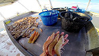 Texas 2019 Gulf Shrimp Season to Open July 15