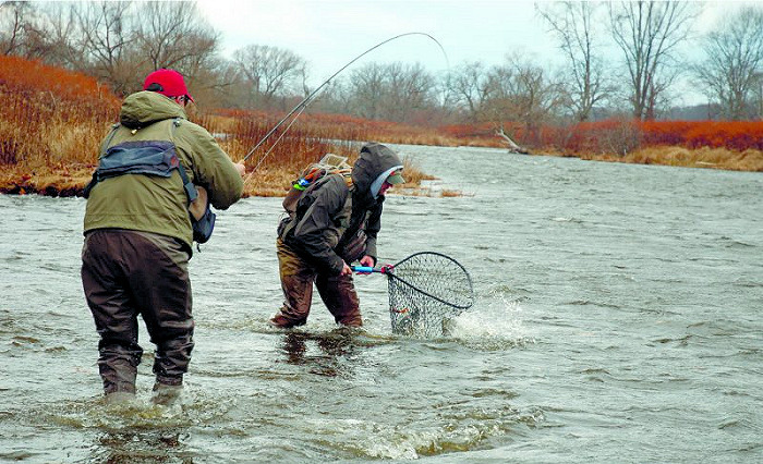Idaho Anglers Reminded of Reduced Steelhead Limits on the Salmon River