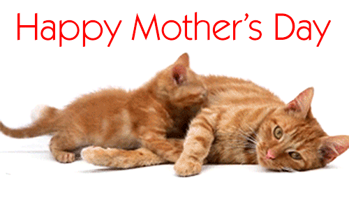 Happy Mothers Day