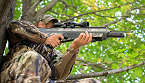 ennessee Legalize Airbows with Bolts, Airguns with Pellets in 2018 for Specific Hunts