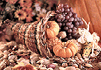 Happy Thanksgiving