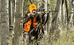 Arkansas Statewide Holiday Deer Hunt Dec 26-28