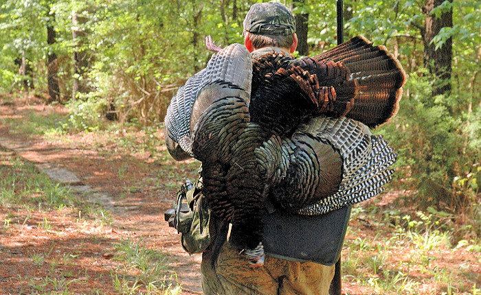 Hunt Mississippi 2020 Spring Turkey Till May 1st