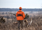 Wisconsin Releasing More Pheasants For Hunting Before Holidays 