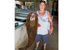 FWC Certifies New State Record Flathead Catfish