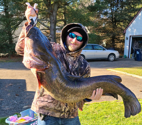 Maryland Angler Catches Record Flathead Catfish