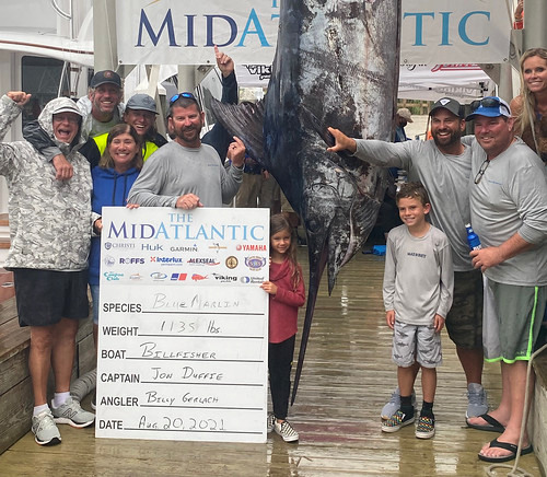 Maryland State Record Blue Marlin Caught at Ocean City