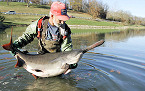 Montana Cancels 2020 Paddlefish Season on Yellowstone, Lower Missouri
