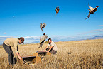 Utah 2018 General Pheasant Hunting Opens Nov 3