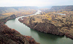 Idaho Considers Removing Snake River Dams to Help Bring Salmon Numbers Back Up