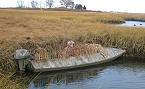 Wisconsin 2019 Statewide Regular Season Duck Zones Open Sept 28