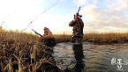New York 2018 Duck Hunting Season Nov 22-23 on Long Island